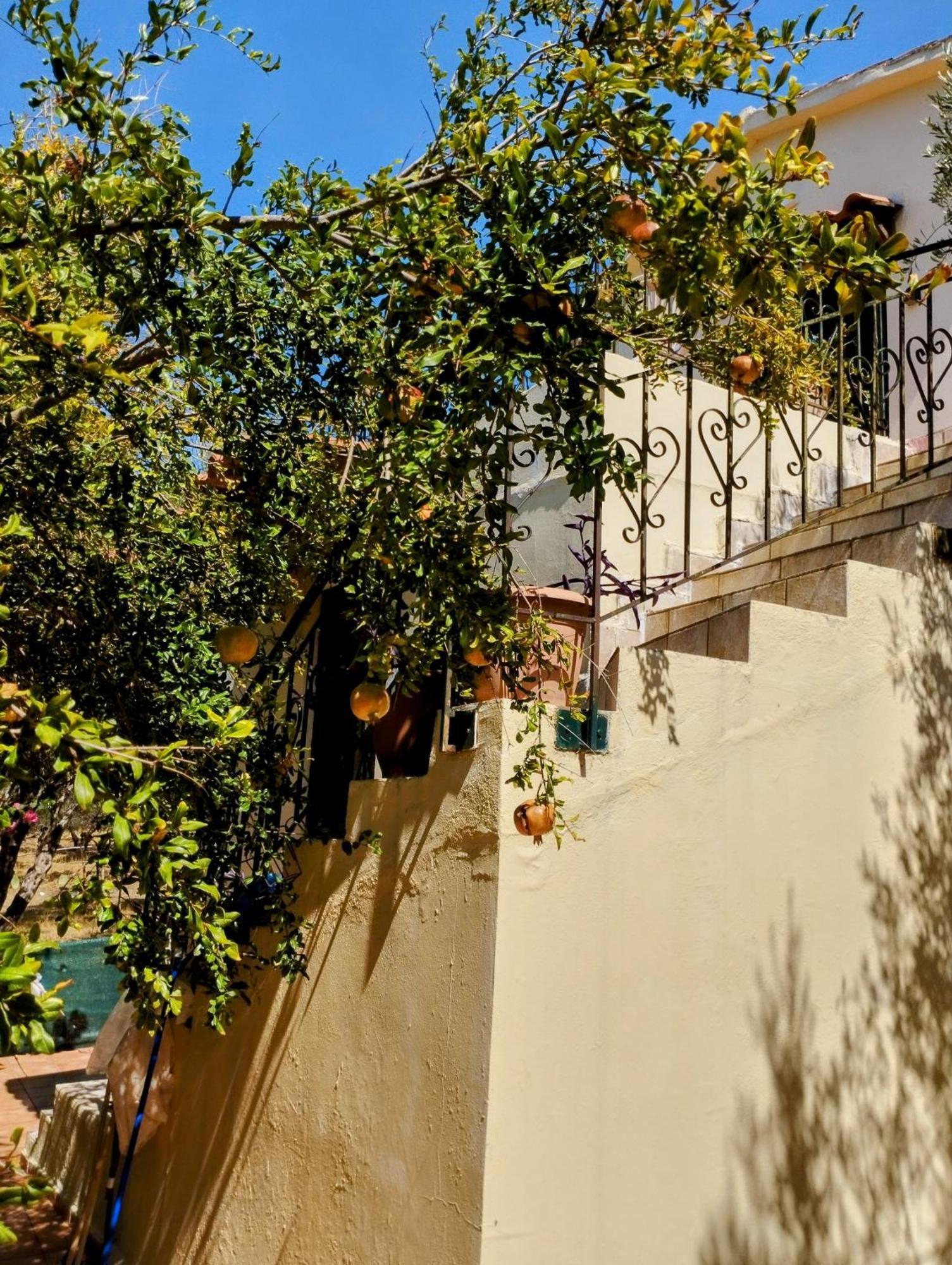 Ktima Tzamika Apartment *