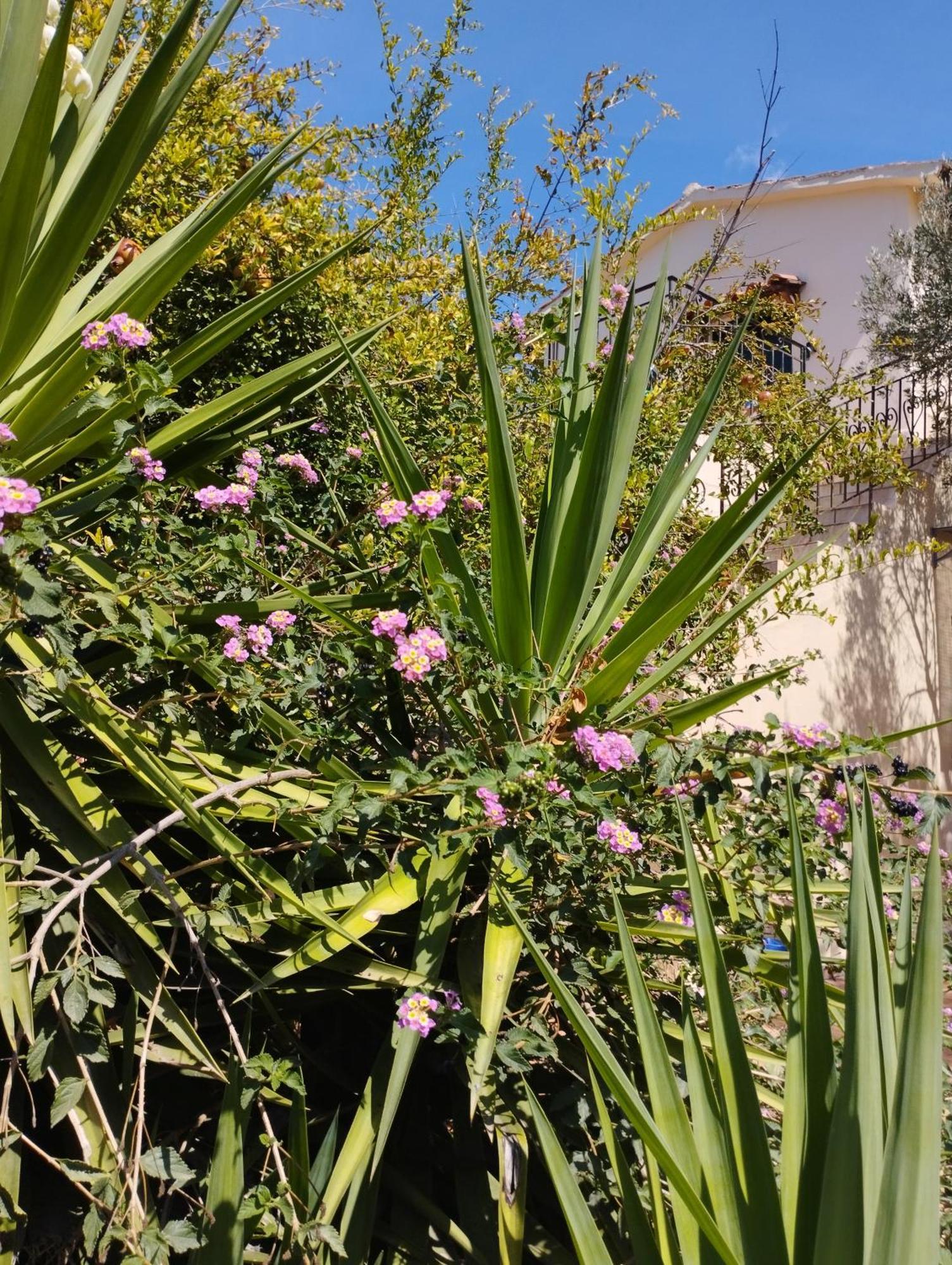 Ktima Tzamika Apartment Episkopi (Rethymno)