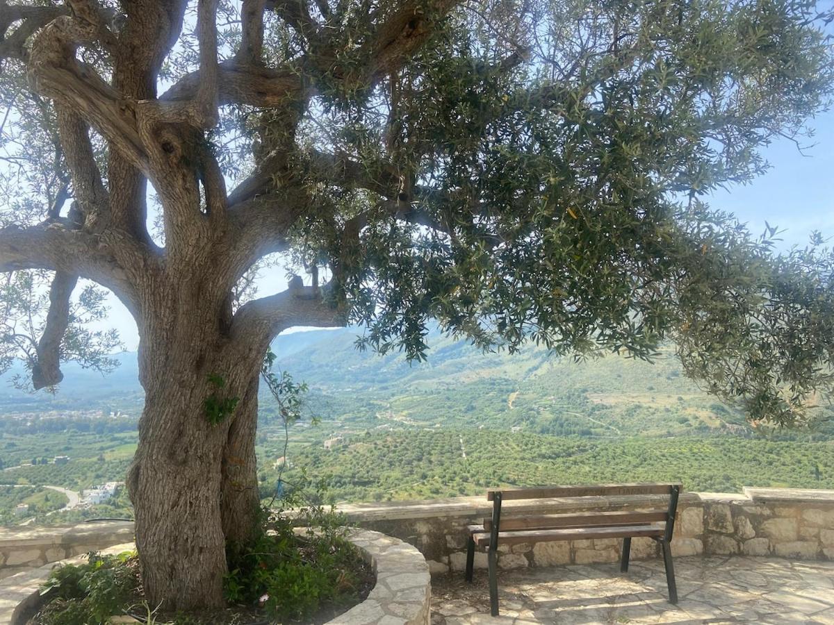 With Fantastic View *