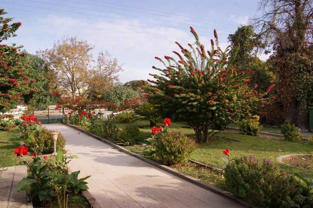 Pandora Di Natura