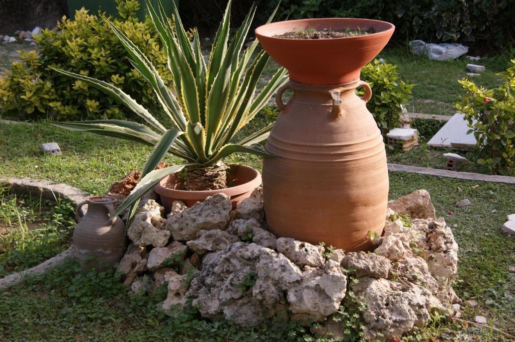 Pandora Di Natura * Ialysos (Rhodes)