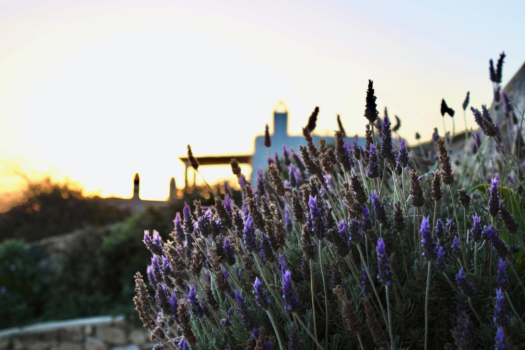 Newly Built Spectacular Sunset At St. John, Mykonos Villa Mykonos Town
