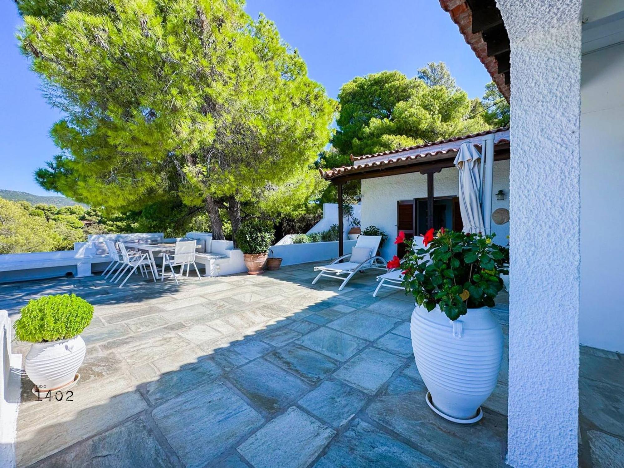 Aglaia, A Treasure In Paradise