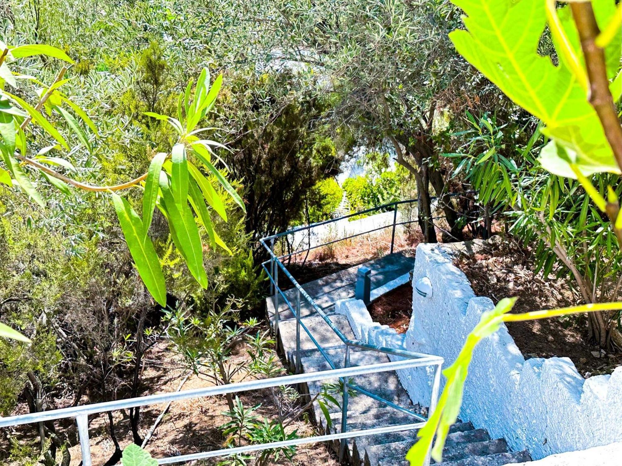 Aglaia, A Treasure In Paradise Kanapitsa (Skiathos)