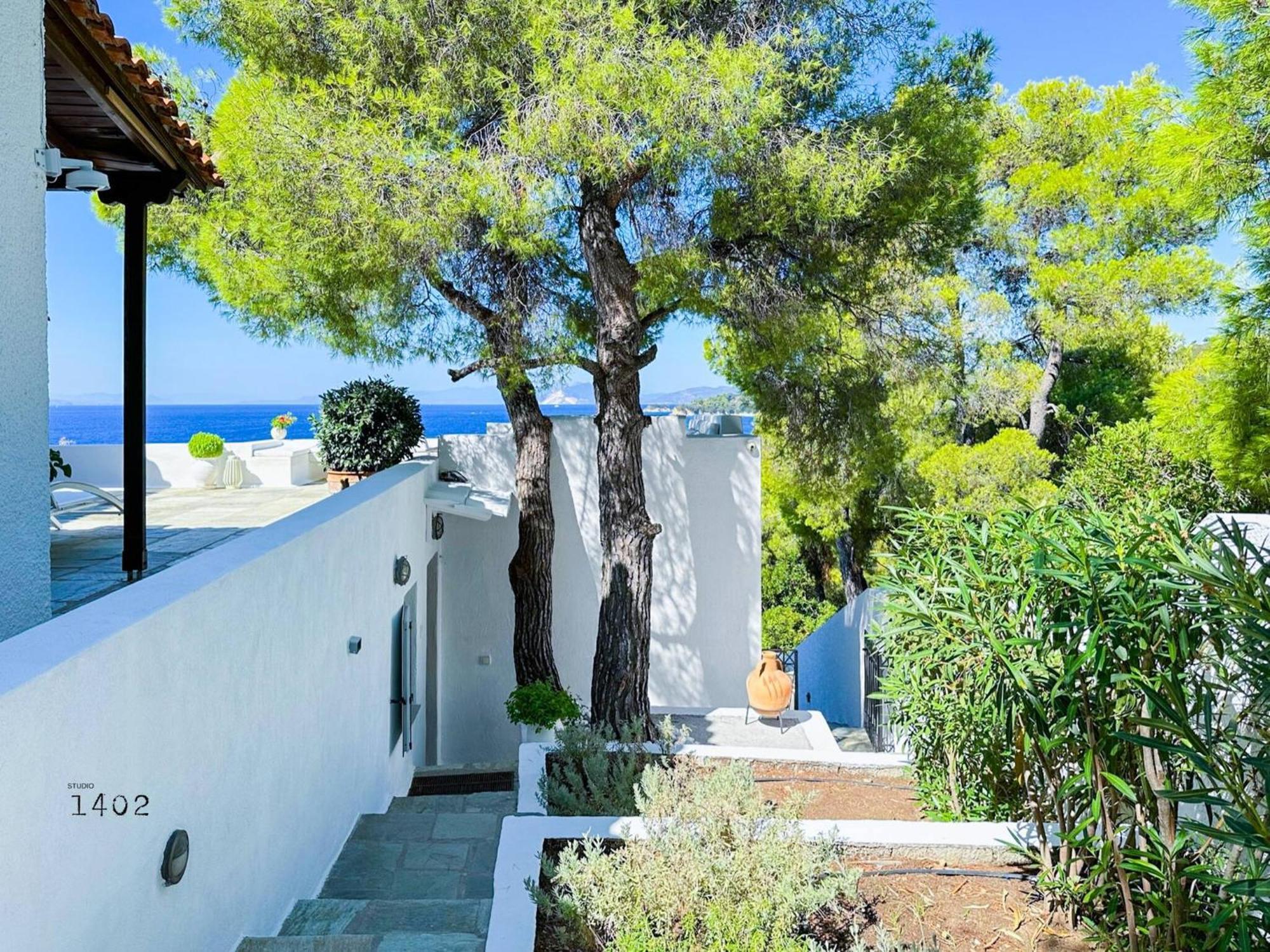 Aglaia, A Treasure In Paradise *