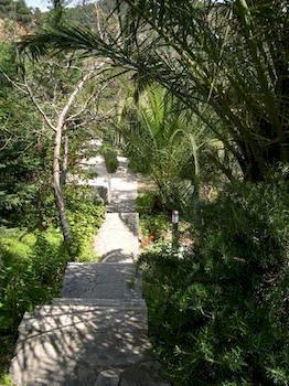 Apartment Ftelia