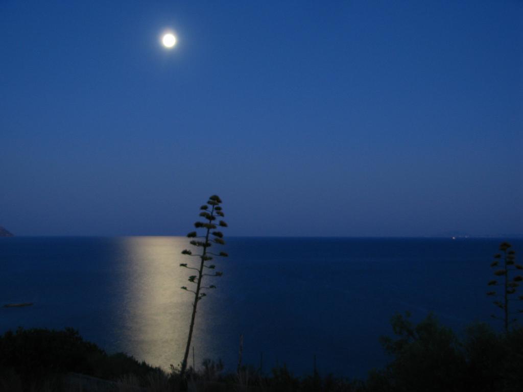 Thanasis *