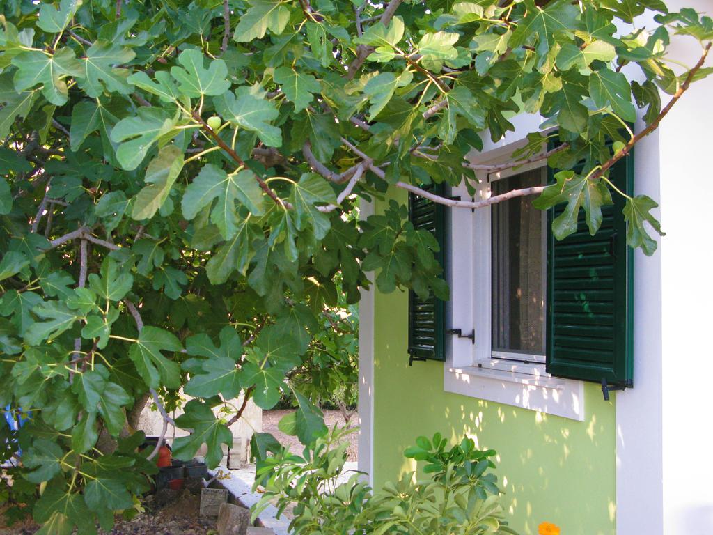 Thanasis Valsamata