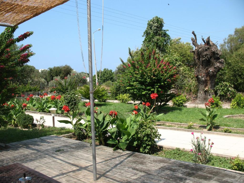 Pandora Di Natura