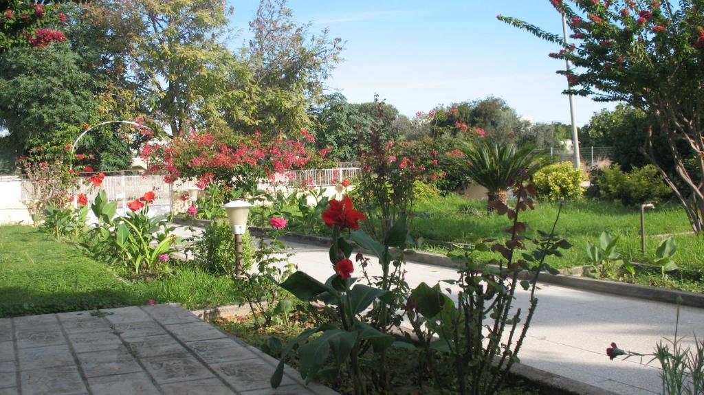 Apartment Pandora Di Natura Ialysos (Rhodes)