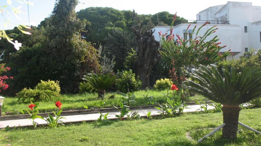 Pandora Di Natura Ialysos (Rhodes)