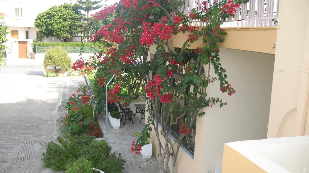 Pandora Di Natura Apartment