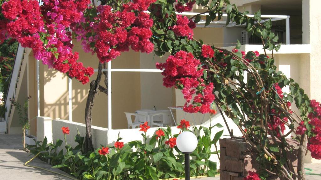 Pandora Di Natura Ialysos (Rhodes)