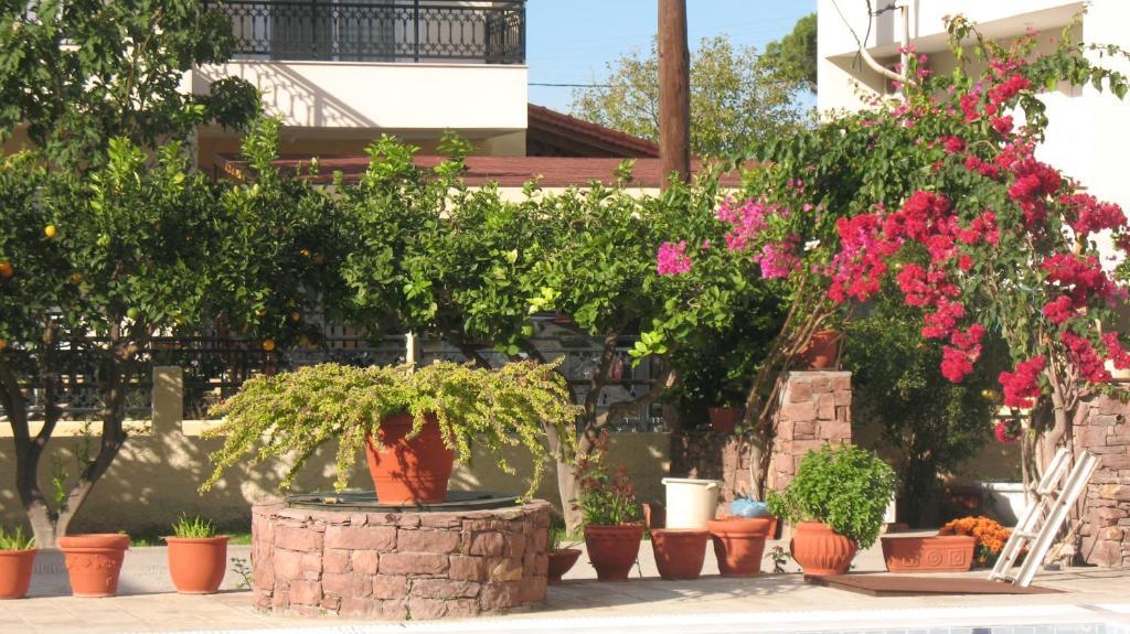 Pandora Di Natura Apartment