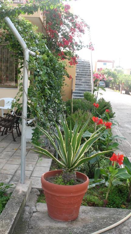 Apartment Pandora Di Natura *
