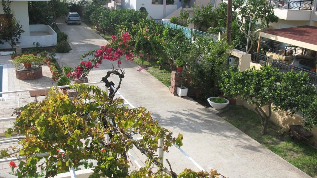 Pandora Di Natura Apartment