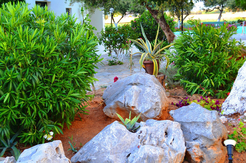 Hotel Amnissos Pigianos Kampos (Crete)