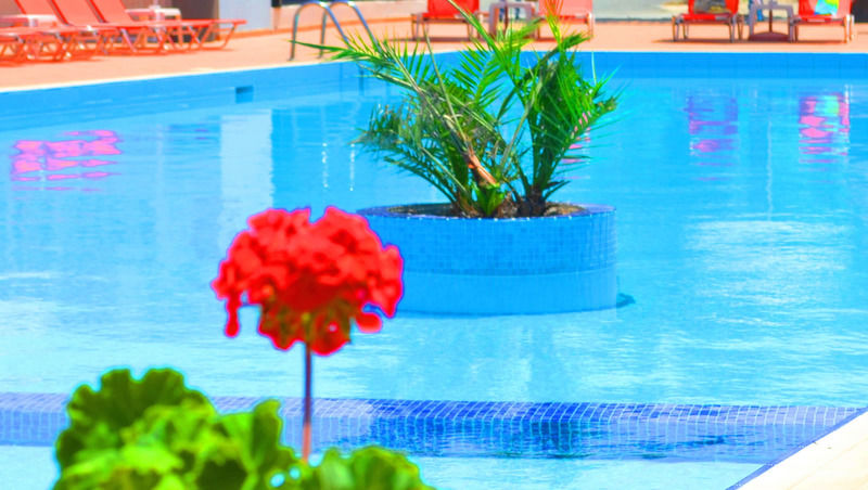 Hotel Amnissos Pigianos Kampos (Crete)