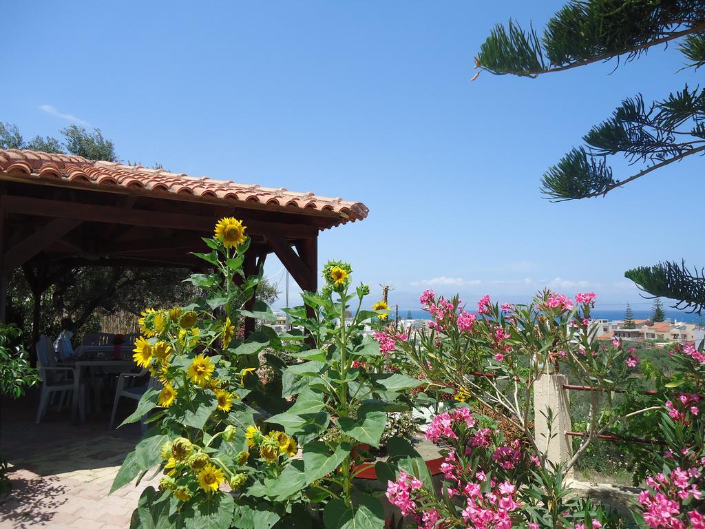 Apartment Amazon Agia Marina (Crete)