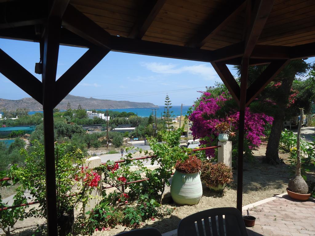 Amazon Agia Marina (Crete)