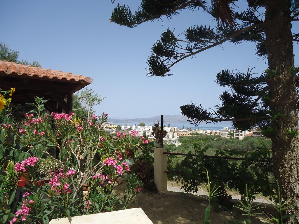 Amazon Agia Marina (Crete)