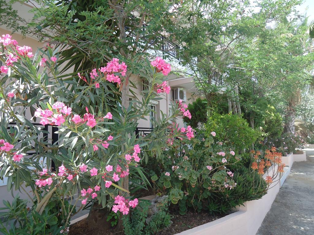 Amazon Agia Marina (Crete)