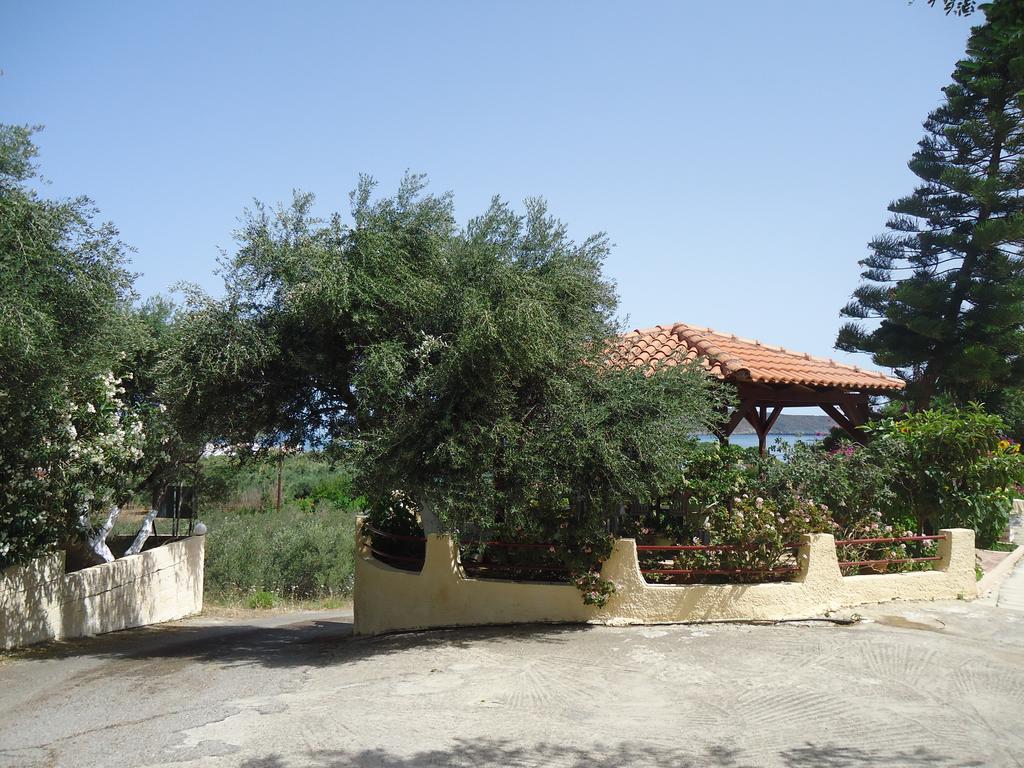 Apartment Amazon Agia Marina (Crete)