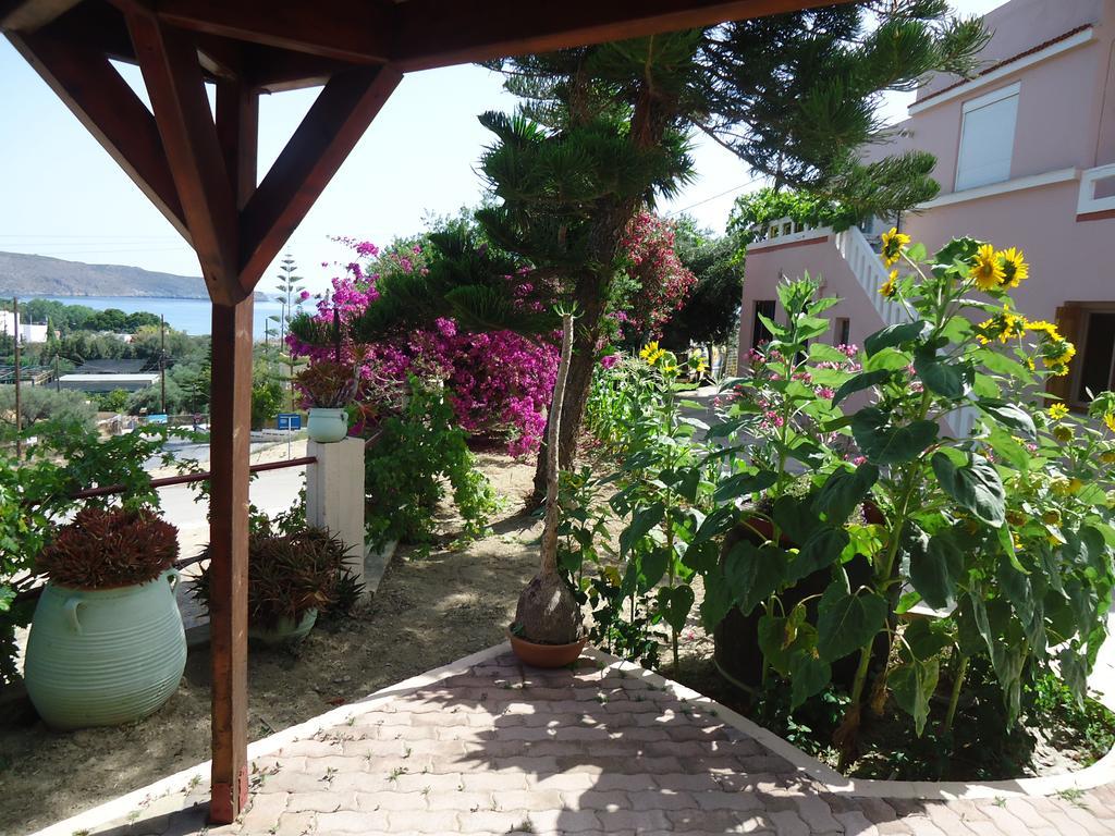 Apartment Amazon Agia Marina (Crete)