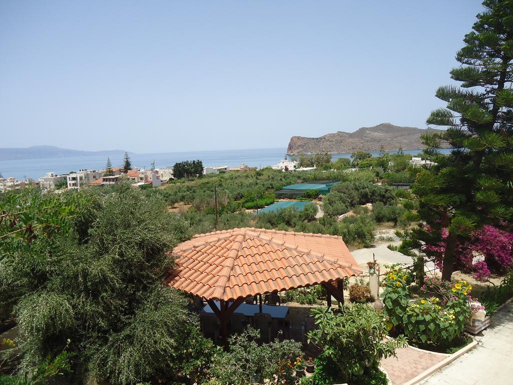 Amazon Agia Marina (Crete)