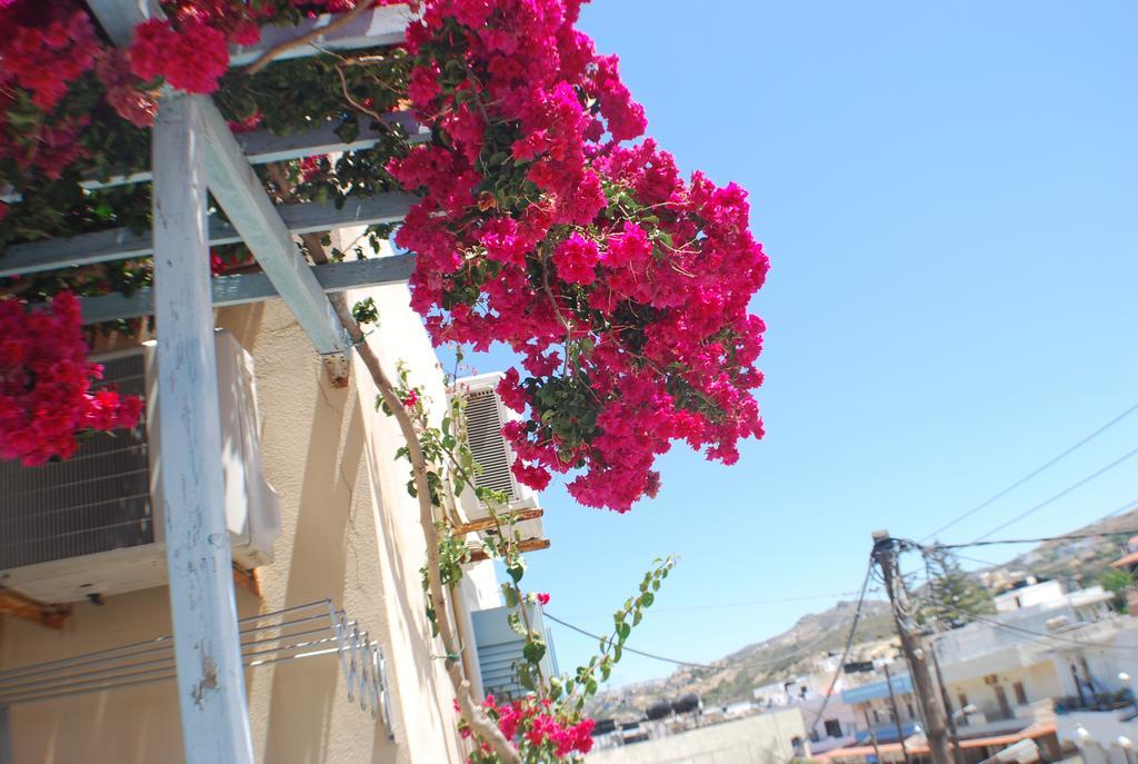 Aparthotel Renia Agia Pelagia (Crete)