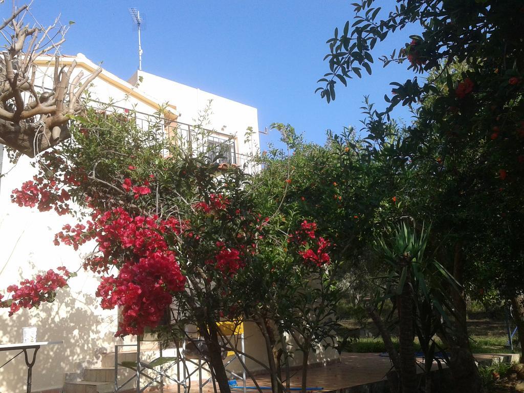Apartment Ktima Tzamika