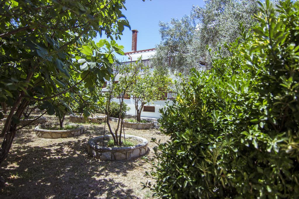 Guest house Naftilos