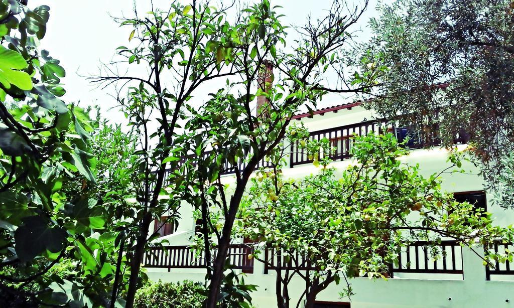 Guest house Naftilos Skiathos Town