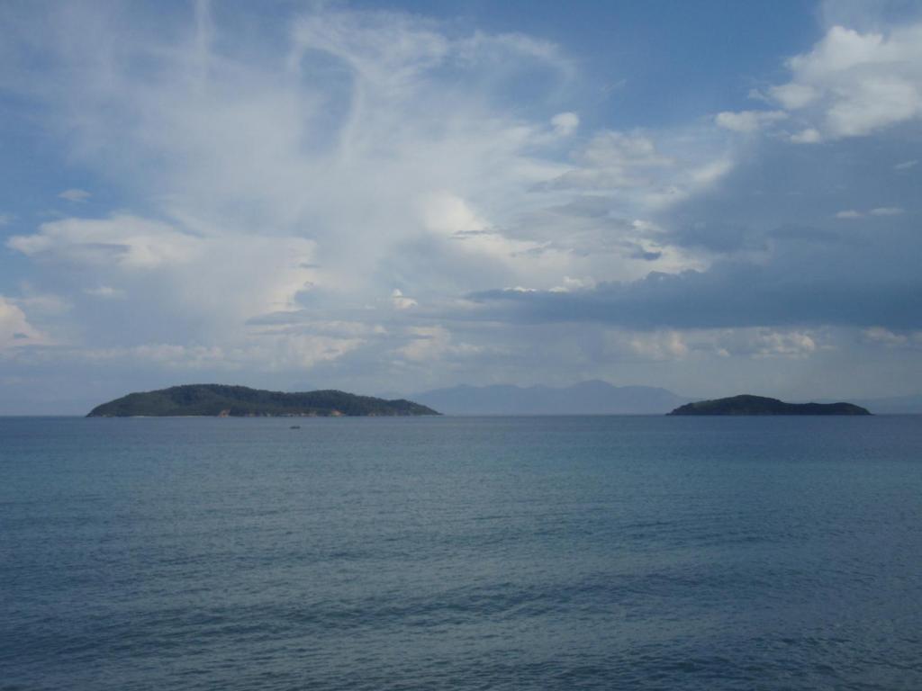Agnantema Portside