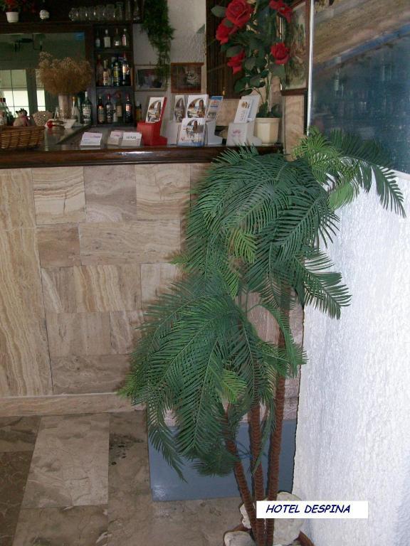 Hotel Despina