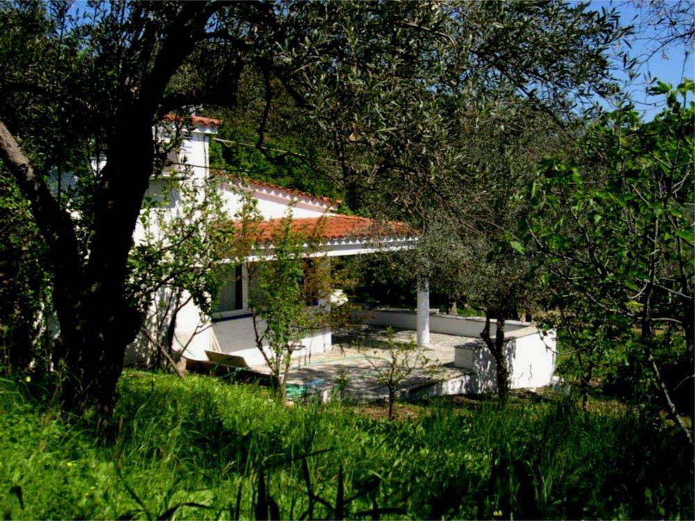 Ftelia Apartment Skiathos Town