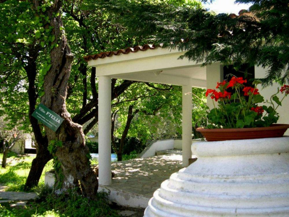 Ftelia * Skiathos Town