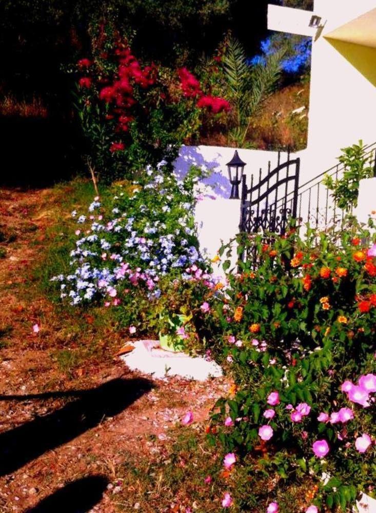 Alexandra's House Guest house