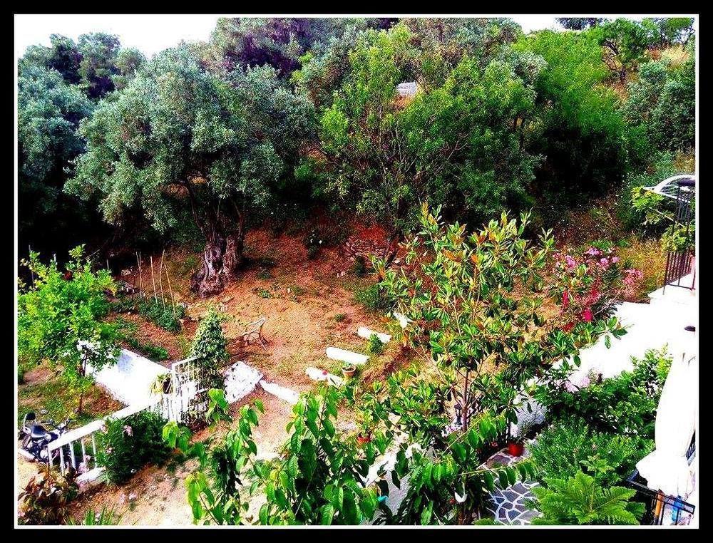 Alexandra's House Guest house 2*