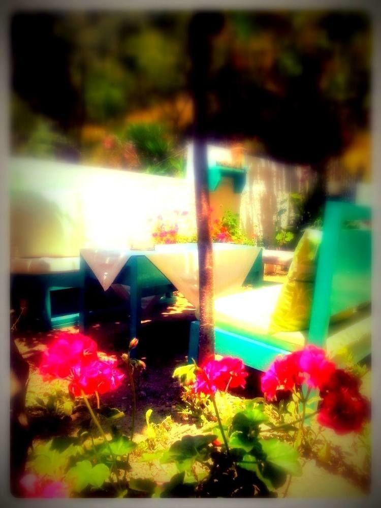 Alexandra's House 2*