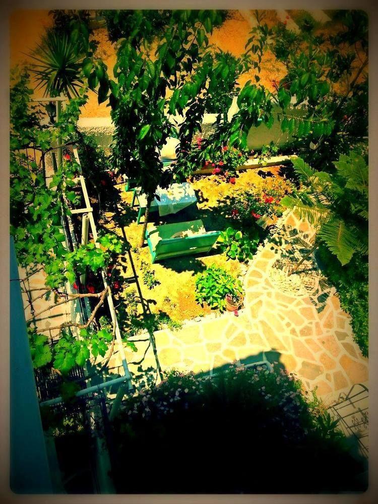 Alexandra's House Guest house