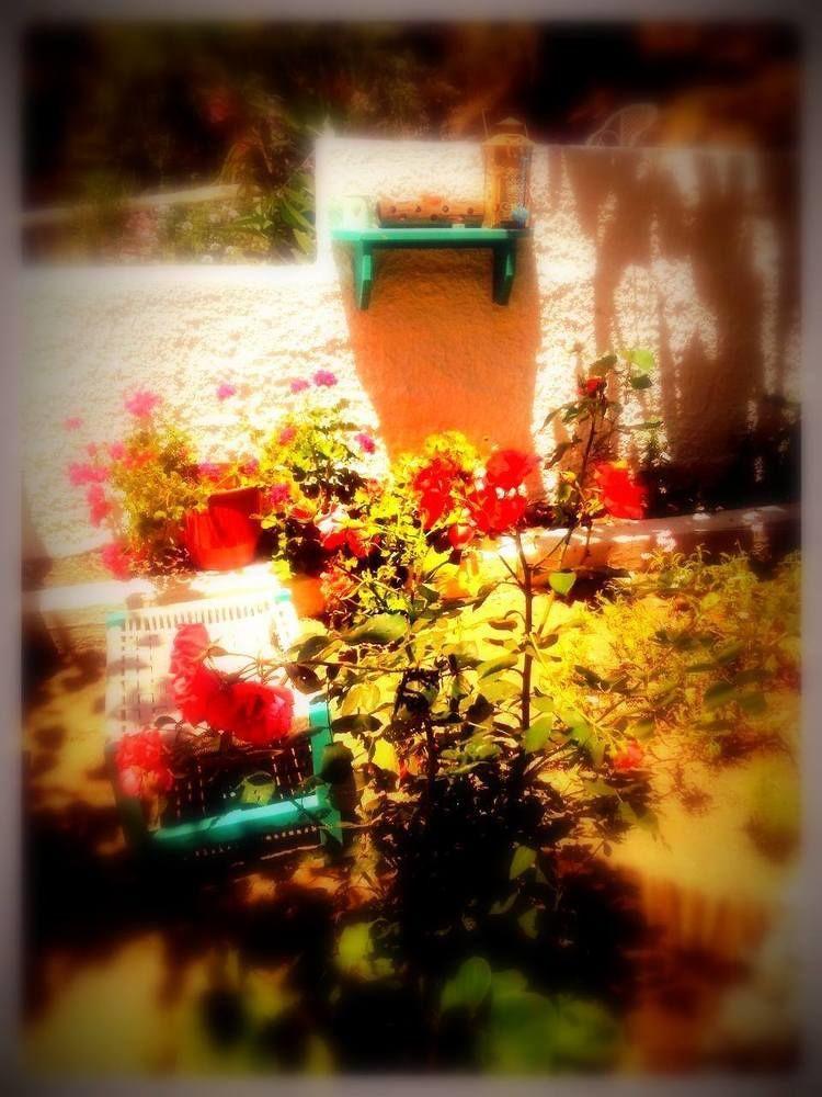 Alexandra's House Guest house Skiathos Town