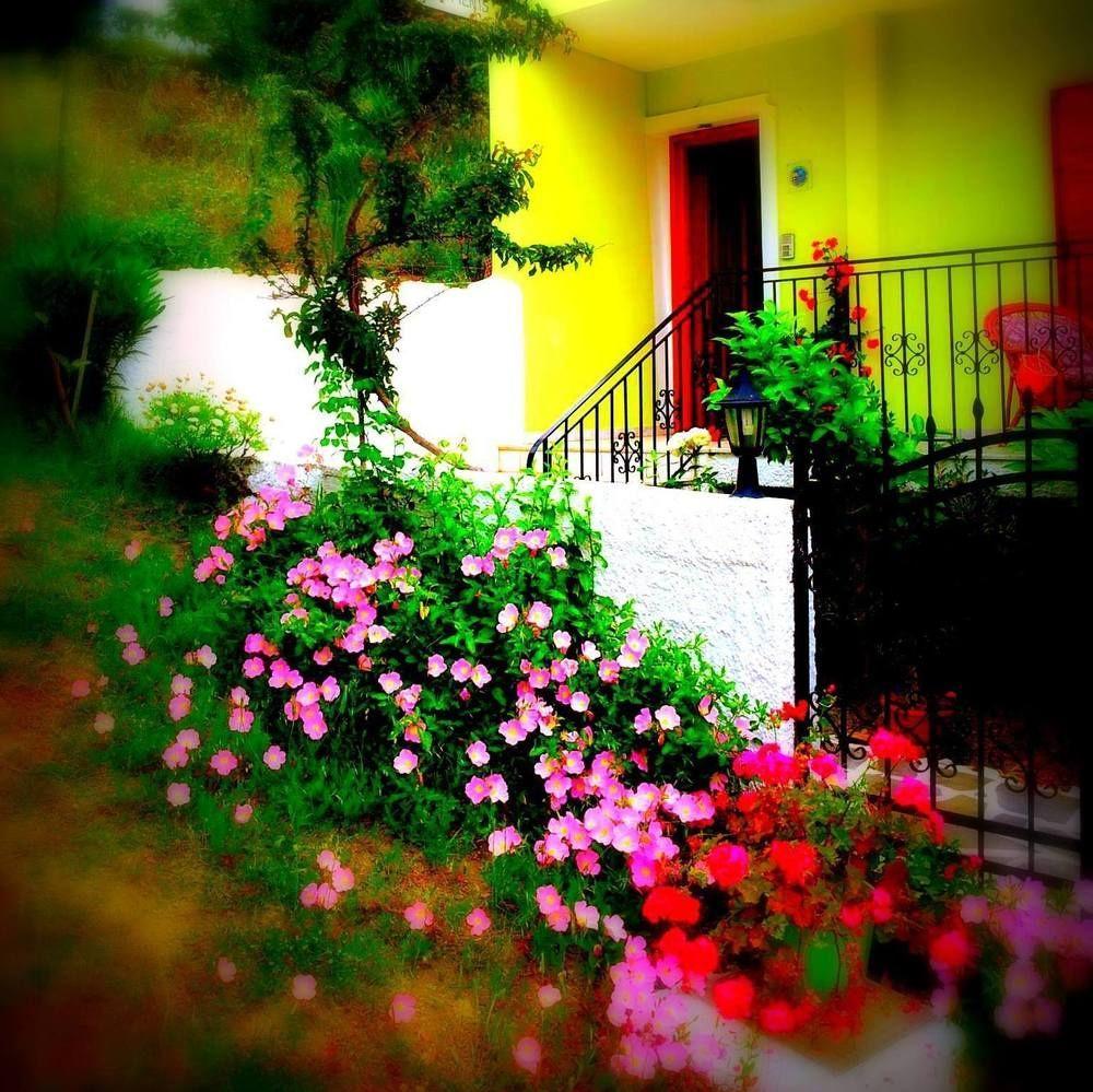 Alexandra's House 2*