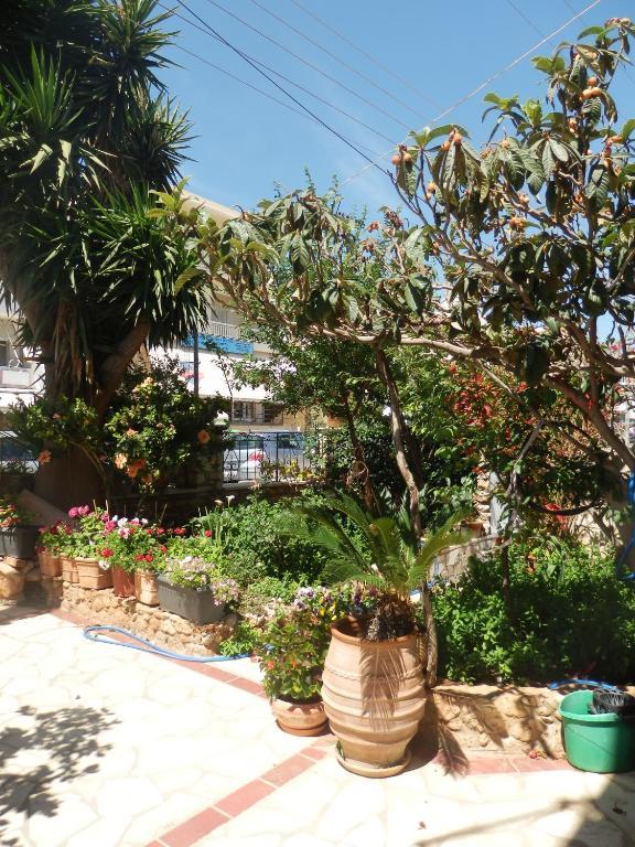 Eleni Apartment