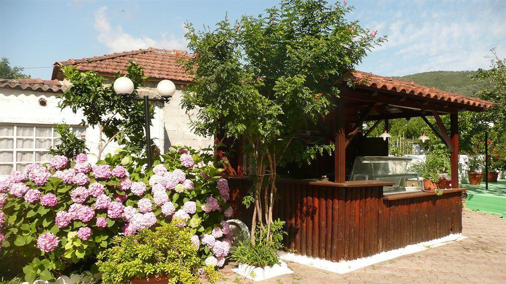Des Roses Hotel Platanias (Thessaly)