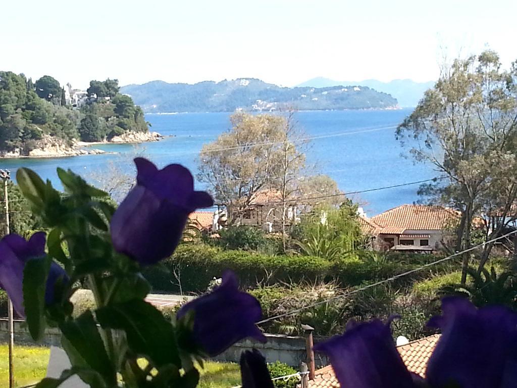 Tzaneria Skiathos Apartment Kanapitsa (Skiathos)