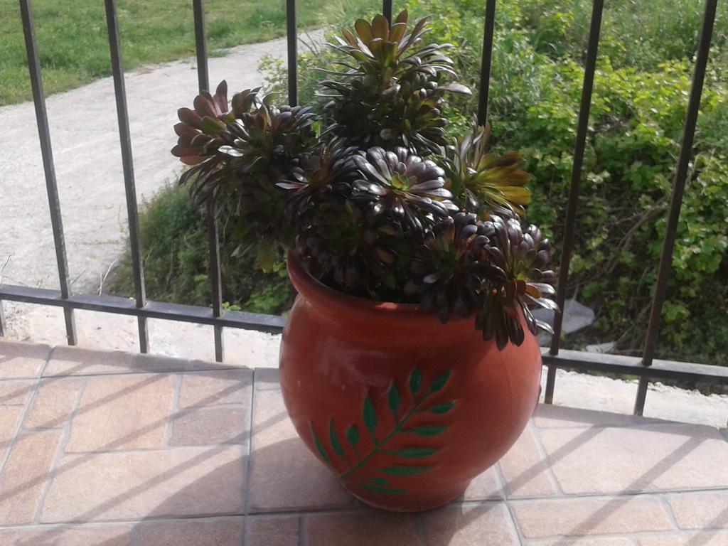 Apartment Gramvousa's Filoxenia