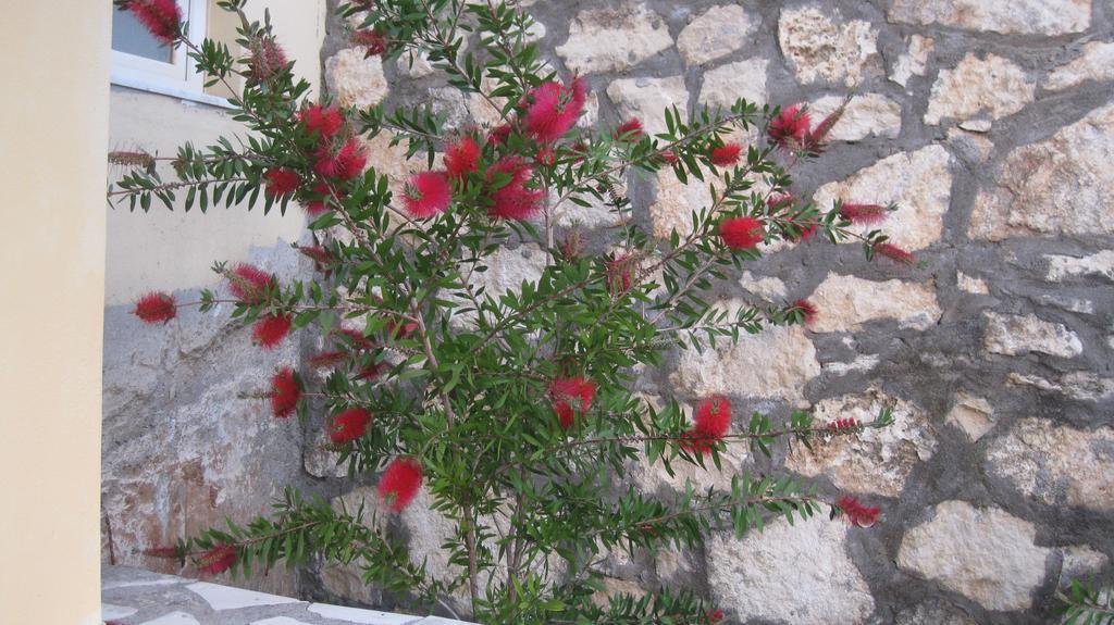 Alexandra Bali (Crete)