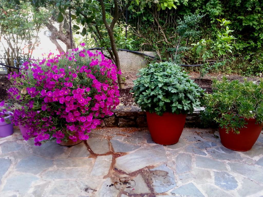 Tzaneria Skiathos Apartment *