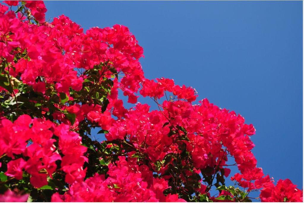Hotel Kefalonia &